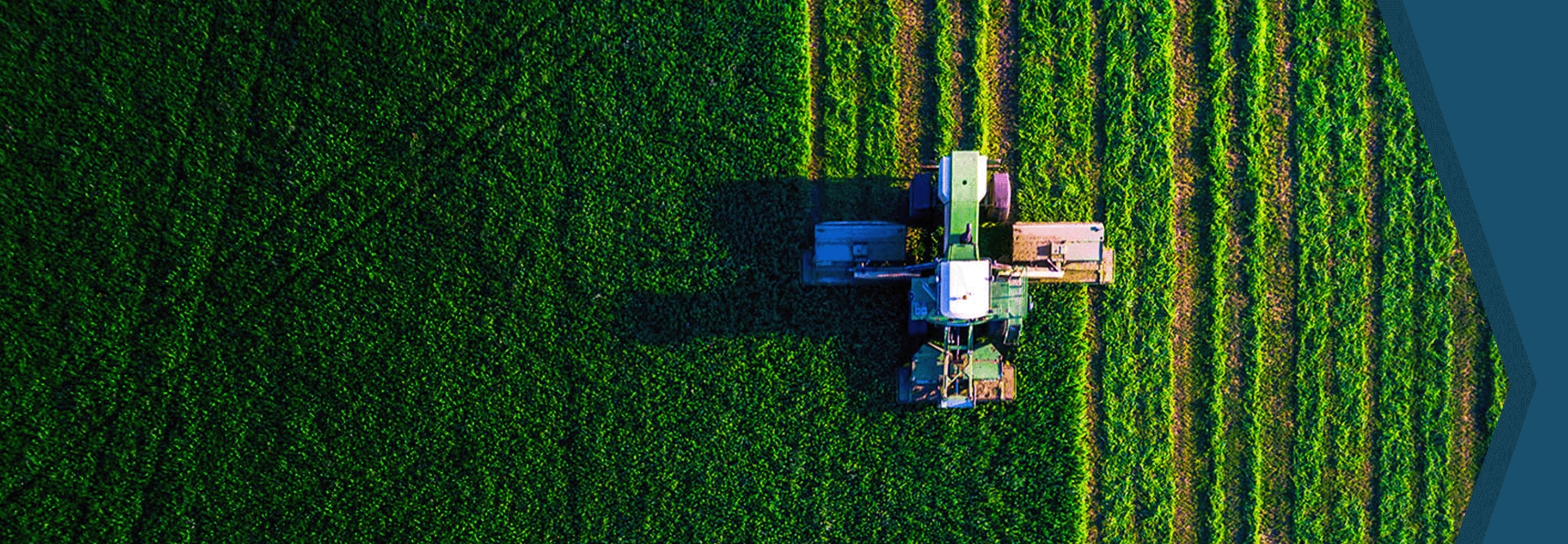 Machinery at work on a field