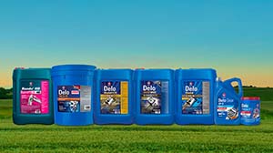 Collection of Caltex products