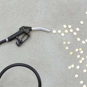 Determining Petrol Price